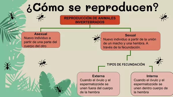 Reproducción de animales invertebrados
