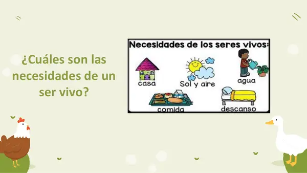 Necesidades de los seres vivos (animales)