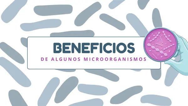 Beneficios de algunos microorganismos