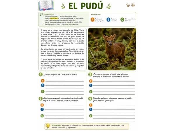 Guía de refuerzo modelo RIC