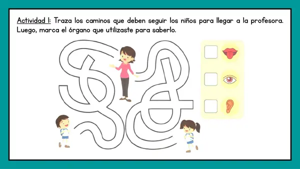 1° básico - Los sentidos