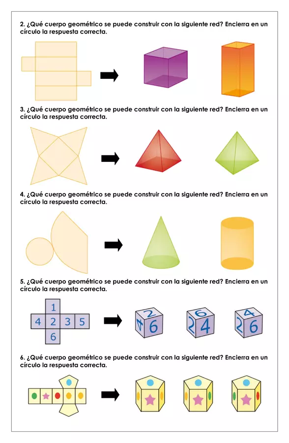 Guía de trabajo - Construir cuerpos geométricos a partir de una red - 3° básico