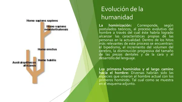 PRESENTACION HISTORIA, Los albores de la Humanidad, SEPTIMO BASICO