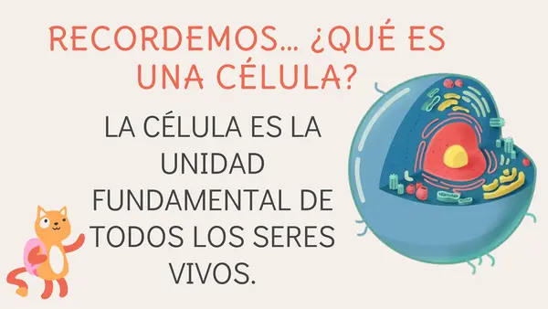 Organización de las células