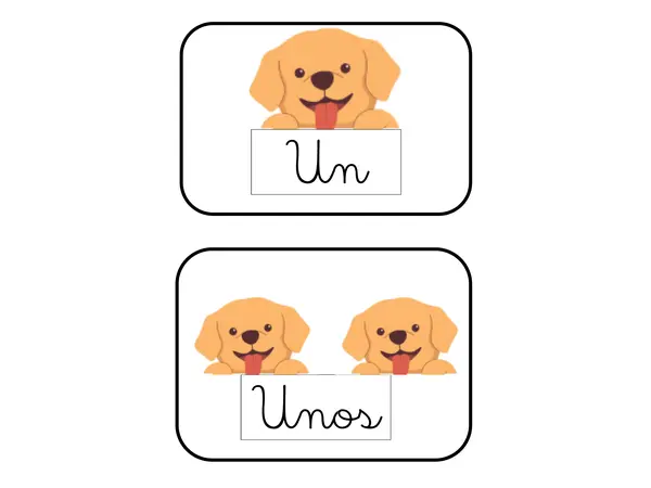 Artículos + guía: "las, los, la, el, un, una, unos, unas"