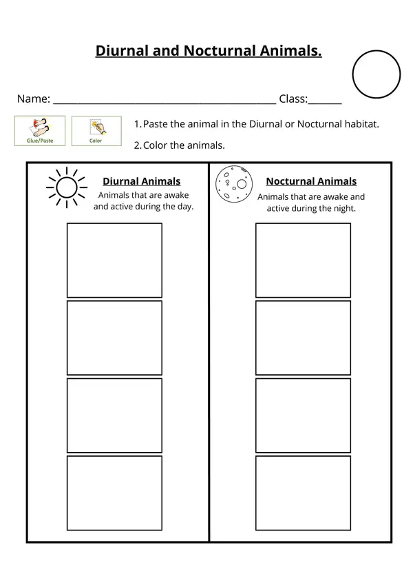 Diurnal and nocturnal animals / Animales diurnos y nocturnos