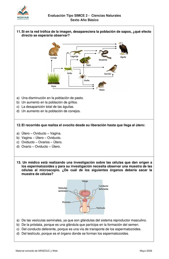 Ensayo Tipo SIMCE 6° Ciencias Naturales n° 2. 