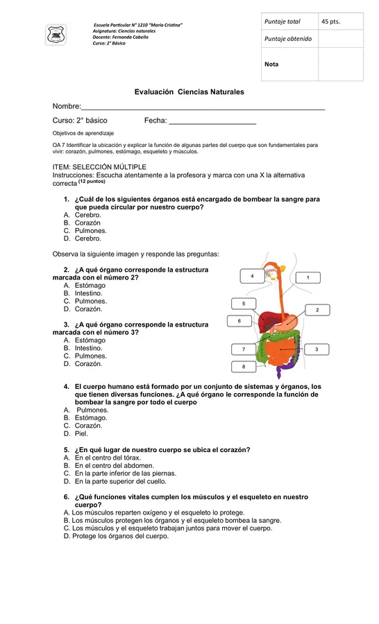 Evaluación Ciencias Naturales