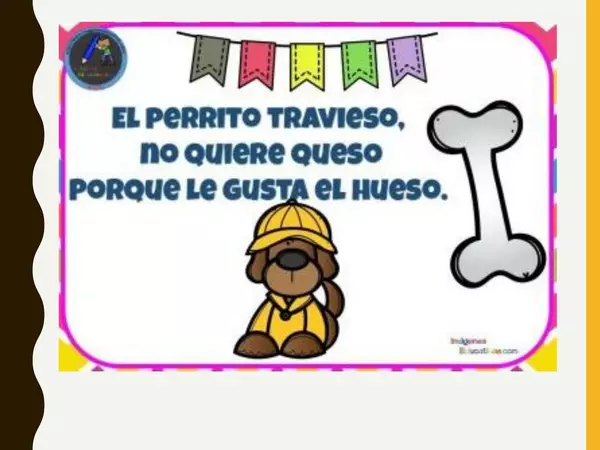 RIMAS Y SEGMENTACIÓN