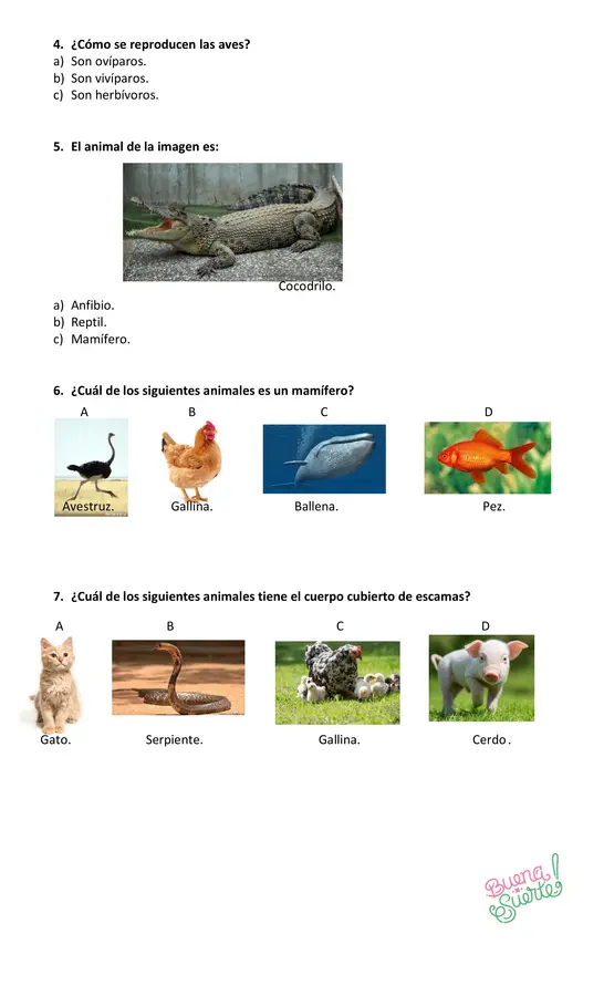 Prueba de Ciencias Naturales 2° básico, tema: "Vertebrados"