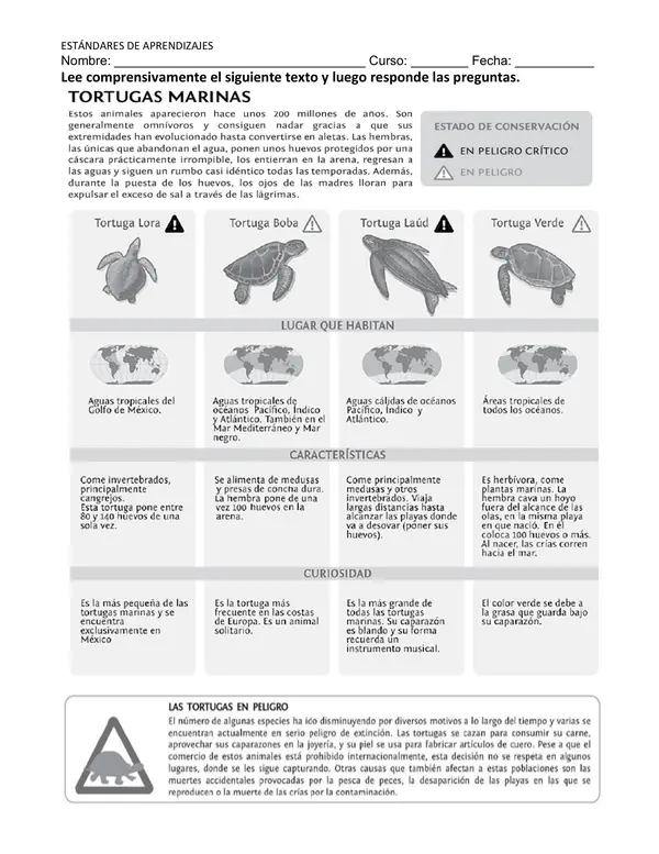 Estándar Lectura 4°