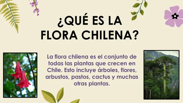 FLORA CHILENA NT1 Y NT2