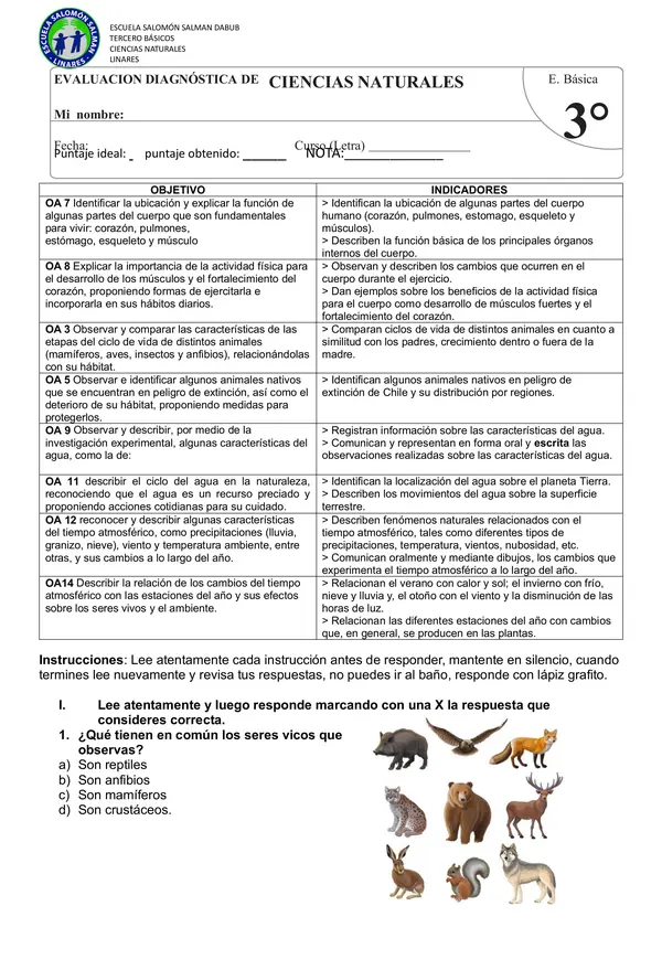 Diagnóstico ciencias naturales 3ro básico