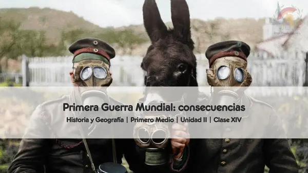 Primera Guerra Mundial: Consecuencias sociales y demográficas 