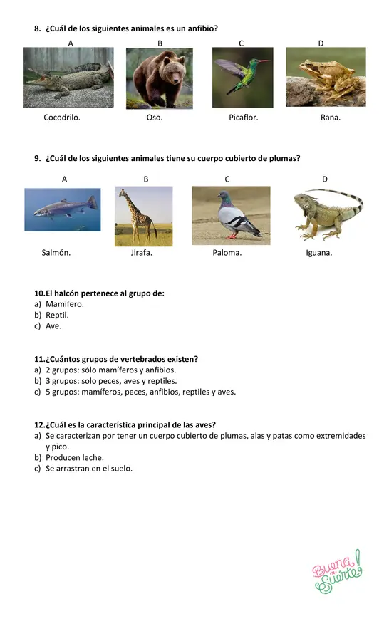 Prueba de Ciencias Naturales 2° básico, tema: "Vertebrados"
