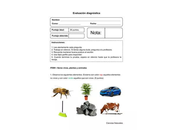 Evaluación diagnóstica Ciencias Naturales - 2° básico