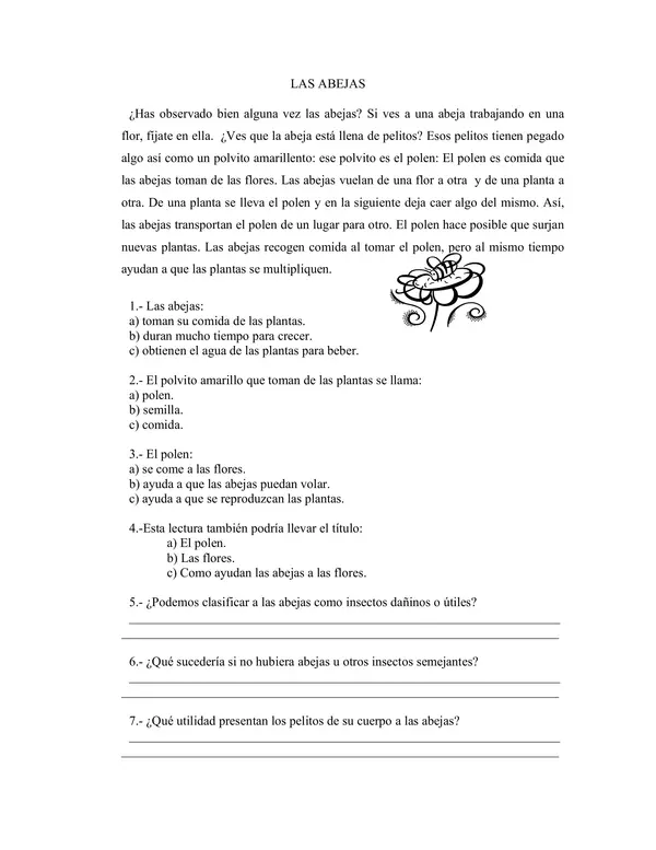 Comprensión lectura tercero 