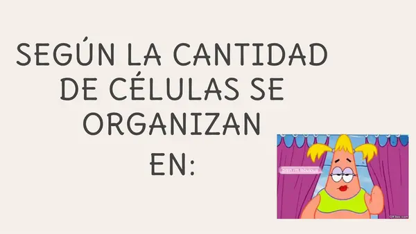 Organización de las células