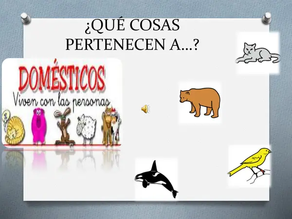 taller vocabulario y categorías semánticas