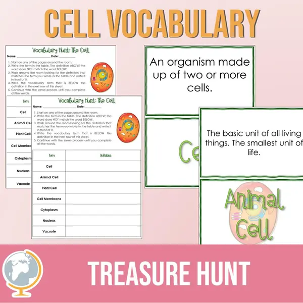 Cell Vocabulary Treasure Hunt