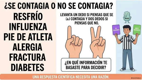 Clase 12 | 5° Básico Ciencias Naturales: Enfermedades — Distinguir infecciosas y no infecciosas