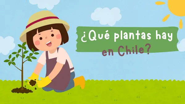 3° básico - ¿Qué plantas hay en Chile?