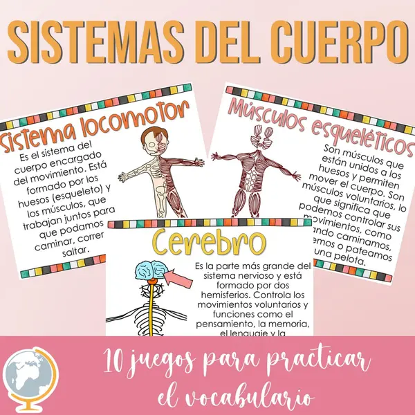 Sistemas del cuerpo juegos para practicar el vocabulario