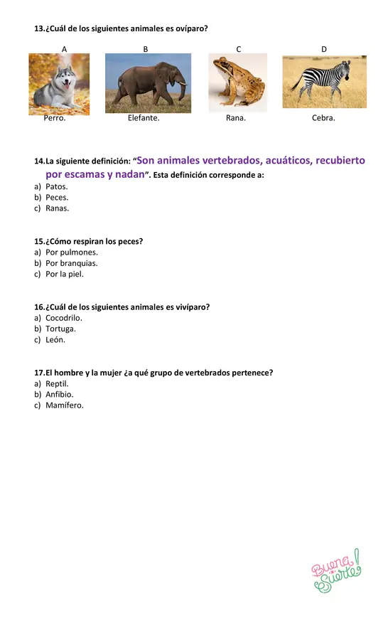 Prueba de Ciencias Naturales 2° básico, tema: "Vertebrados"