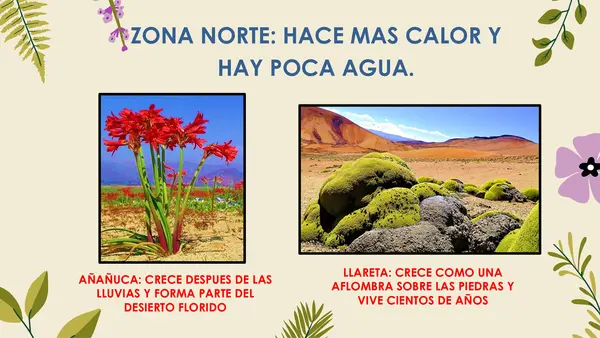 FLORA CHILENA NT1 Y NT2