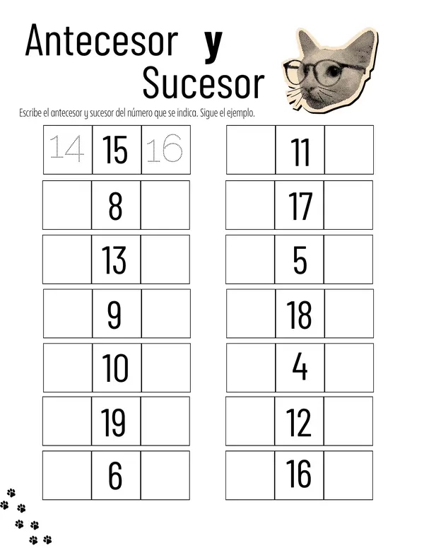 Antecesor y sucesor de números hasta el 20