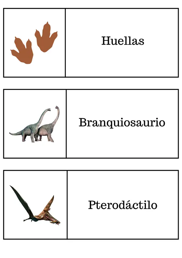 Vocabulario sobre los dinosaurios