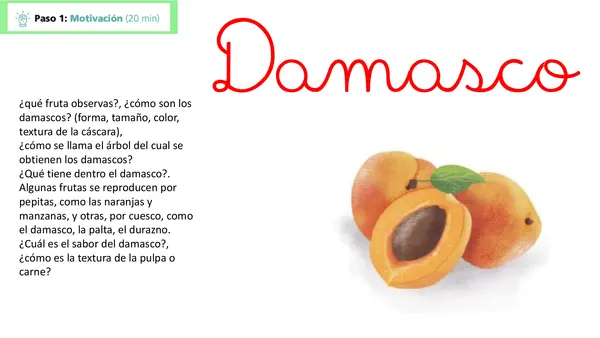 Lección 23 Damasco Parte 2 Mayúsculas Método Matte