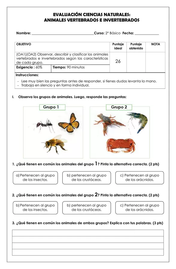 Prueba 2° básico - Vertebrados e invertebrados | profe.social