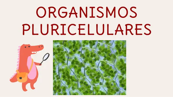 Organización de las células