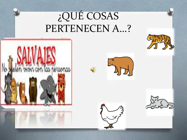 taller vocabulario y categorías semánticas