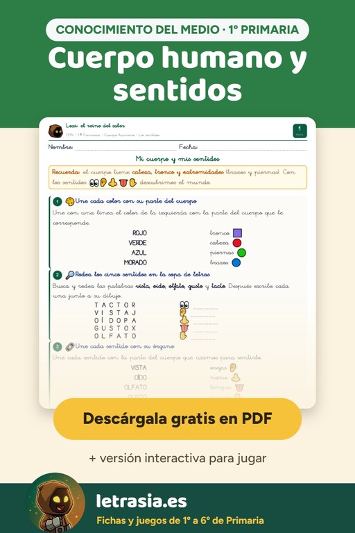 pin-conocimiento-del-medio-1-primaria-cuerpo-humano-y-sentidos.jpg
