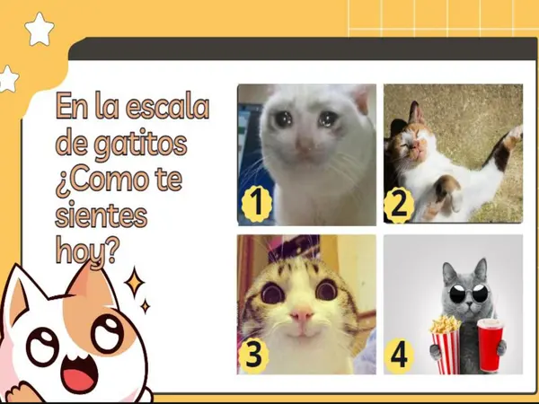 MAQUINA DE ACENTUAR MÁGICA