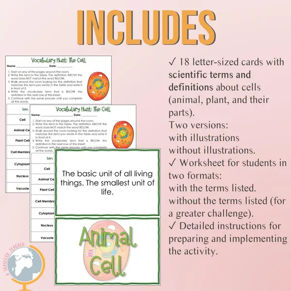 Cell Vocabulary Treasure Hunt