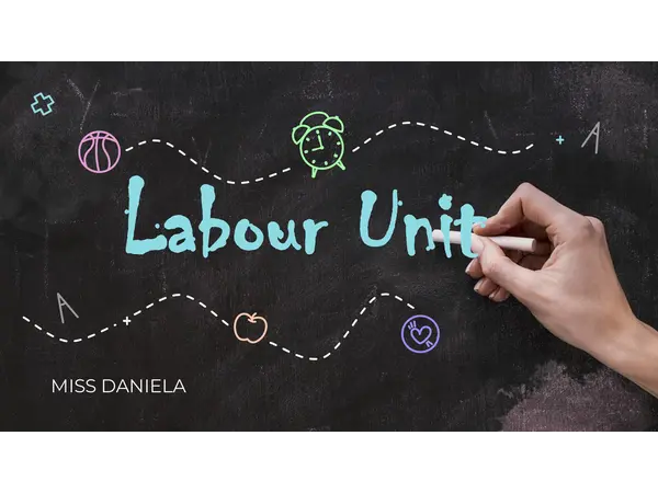 Labour Unit