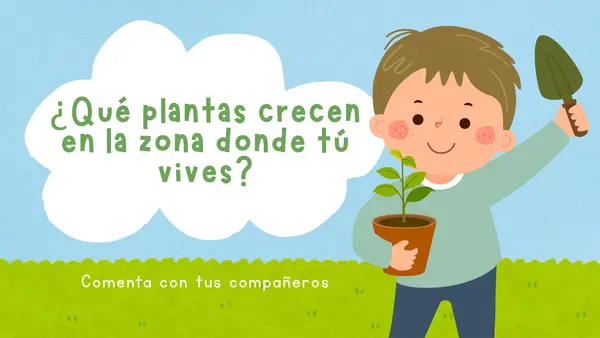 3° básico - ¿Qué plantas hay en Chile?