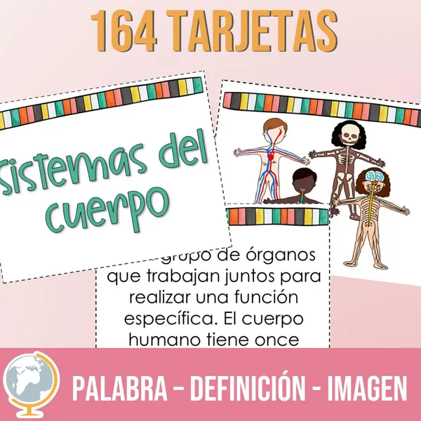 Sistemas del cuerpo juegos para practicar el vocabulario