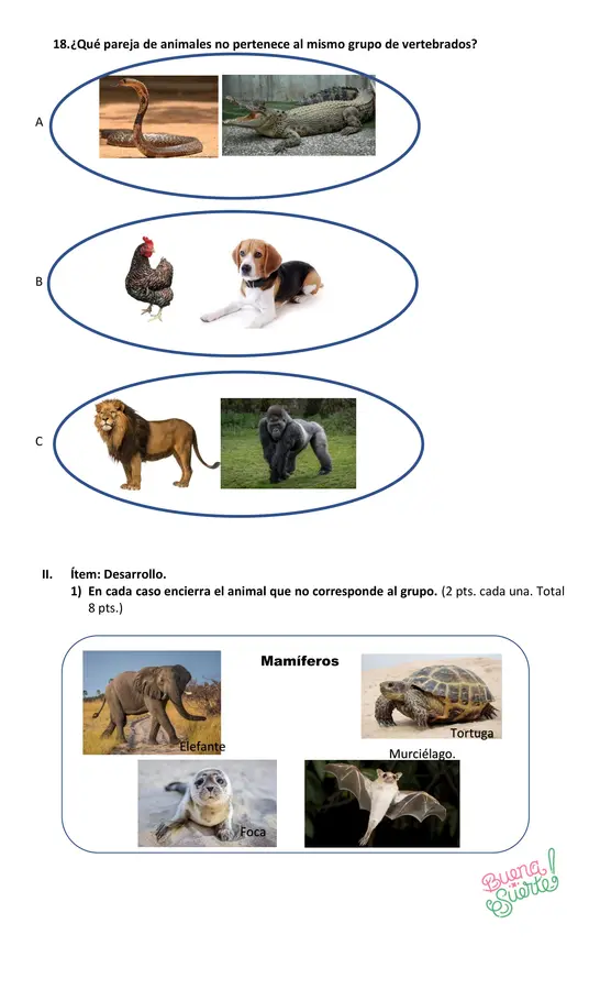 Prueba de Ciencias Naturales 2° básico, tema: "Vertebrados"