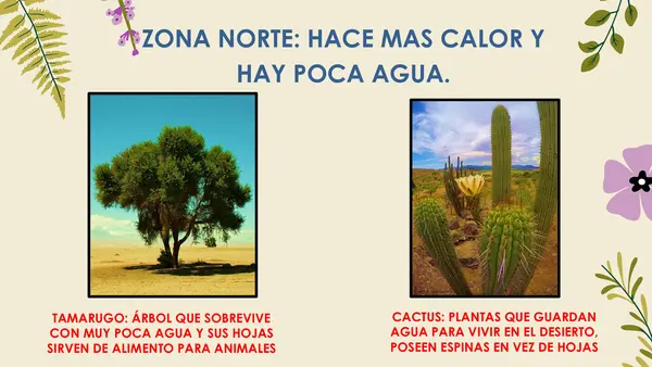 FLORA CHILENA NT1 Y NT2
