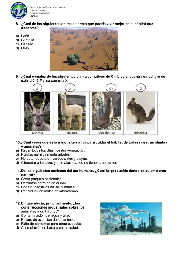 Diagnóstico ciencias naturales 3ro básico
