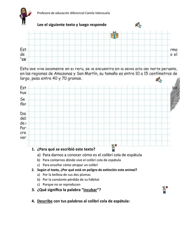 Estrategias de comprensión lectora