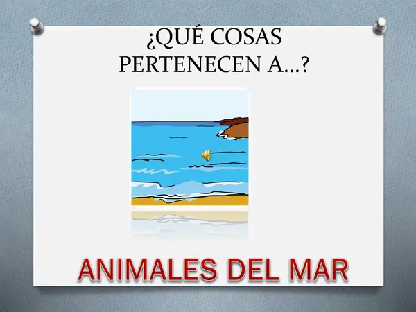 taller vocabulario y categorías semánticas