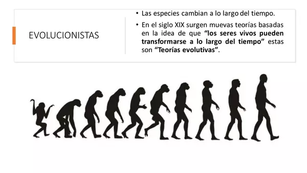 Teorias de evolución