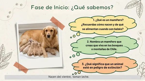 Clase 4 Lección 3 Unidad 2 "Mamíferos Nativos en peligro" 2° Básico