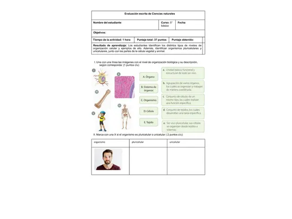 Guia de trabajo: Célula 5°