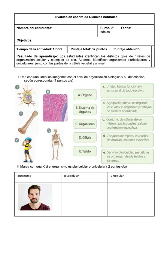 Guia de trabajo: Célula 5°